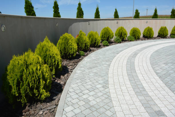 Best Affordable Driveway Paving  in Rosemont, PA